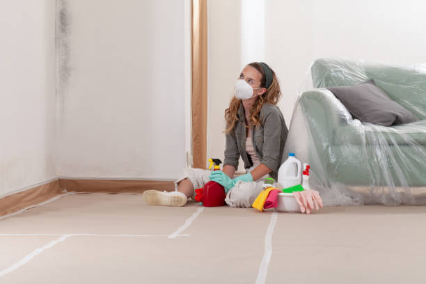 Reliable Black Mold Remediation contractor in Tualatin, OR by 24 Hour Mold Removal